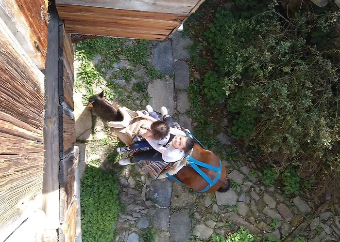 Holiday home кюповата къща 1860 Qpova House Kovacevica