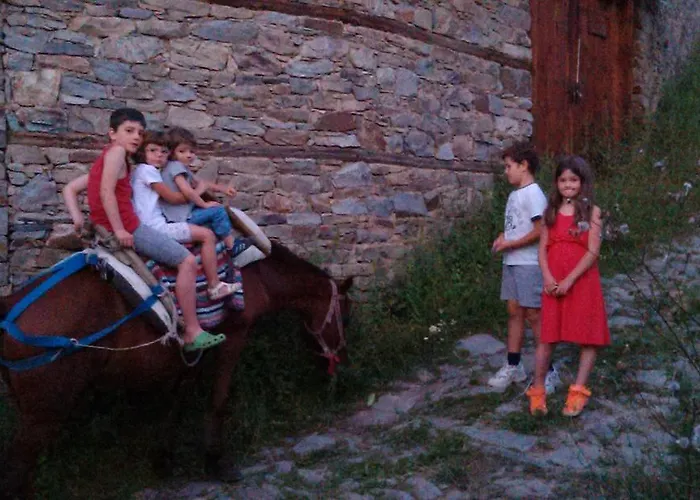 кюповата къща 1860 Qpova House